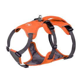 Pet Harness Dog Hand Holding Rope (Option: Orange-XXS)