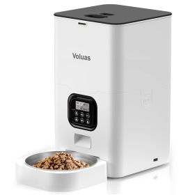 Household Pet Intelligent Automatic Double Meal Feeder (Option: 6L white opaque-USB)