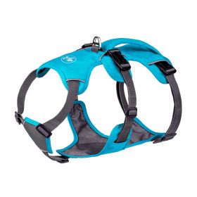 Pet Harness Dog Hand Holding Rope (Option: Blue-XS)