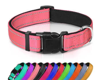 Adjustable Reflective Nylon Webbing Dog Collar (Option: Bright Pink-L)